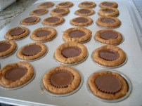 2571363147_9e57374943_z