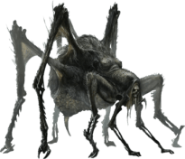 Atlach-Nacha_ditions_Sans-Dtour_Render